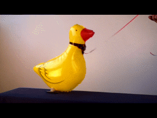 Tiere die mit Helium laufen, Airwalker Luftballons